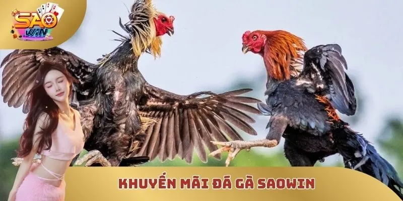 Khuyến mãi đá gà SAOWIN