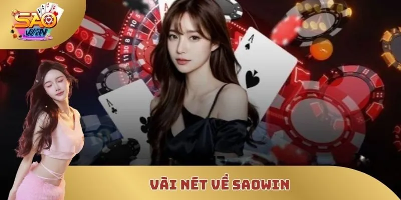 Vài nét về SAOWIN